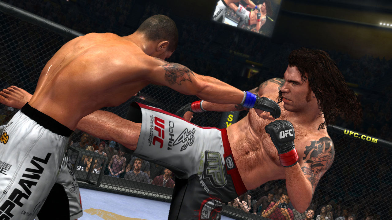 UFC Undisputed 2009 version for PC